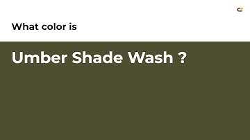 Umber Shade Wash color #4e4d2f hex color - Green color - Cool color 4e4d2f