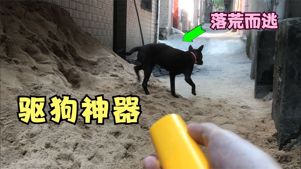 号称狗见愁的“驱狗神器”，再凶的狗也不敢靠近？ - YouTube