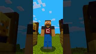 Hytale vs Minecraft #minecraft #hytale
