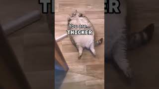 you are thicker than a snicker