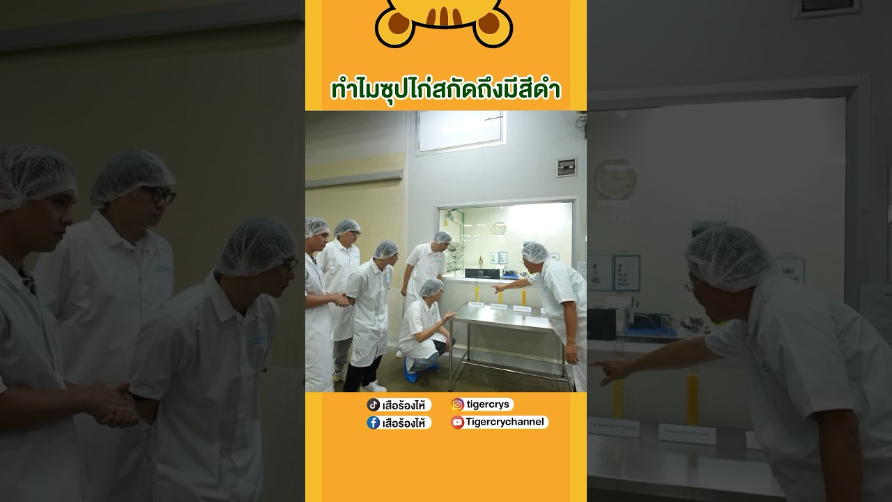เคยสงสัยไหม ทำไมซุปไก่ถึงมีสีดำ #เสือร้องไห้ #TigerShorts #shorts #ซุปไก่สกัด
