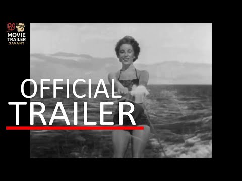 A Place in the Sun (1951 film) artwork
