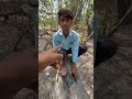 New magic trick ✨ amazing 🤩 magic 🪄 #magic #shorts #viral #trending #shortsfeed