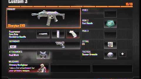 bo2 best scorpion EVO class setup