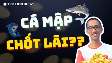 Kỹ Năng Vàng - 3 Cách Chốt Lãi Thông Minh Như Cá Mập!