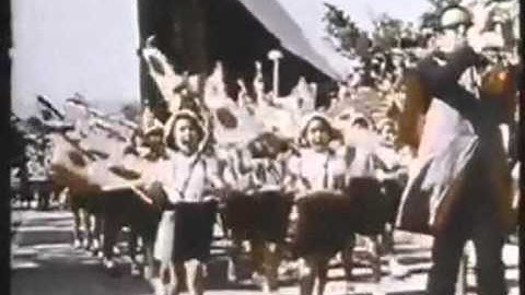 Unilever-Managing Complexity