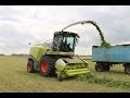 Claas Jaguar 870 Dynamic Power