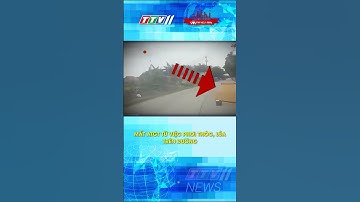 MẤT ATGT TỪ VIỆC PHƠI THÓC, LÚA TRÊN ĐƯỜNG #shortvideo #shorts