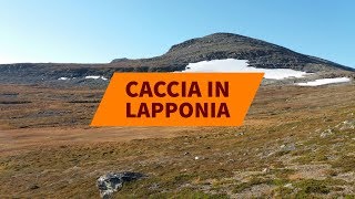 Caccia in Lapponia con Lugaresi Tour Operator