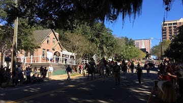 Florida State University Homecoming 2015 Parade