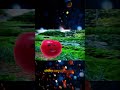 Недонатный Томат #sleduck #прикол #twitch #мемы #игры