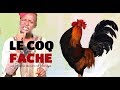 Le coq fch  les histoires de lamine mbengue  sngal tv enfants