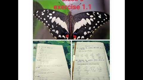 class 6 maths chapter 1 exercise 1.1 question 1 2 3.@ummebilalclasses