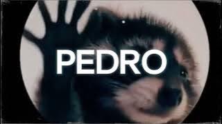Pedro Ringtone Download