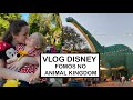 VLOG DISNEY - Fomos no Animal Kingdom