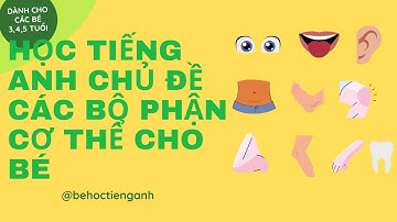 Học Từ Vựng Tiếng Anh Chủ Đề Bộ Phận cơ Thể - Dành cho bé 3,4,5 tuổi | Bé Học Tiếng Anh