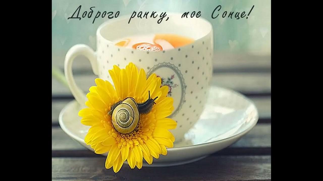 Доброе утро нежное солнышко. Открытки с добрым утром красивые необычные. Открытки с добрым утром солнышко. Нежные открытки с добрым утром. Доброе солнечное утро.