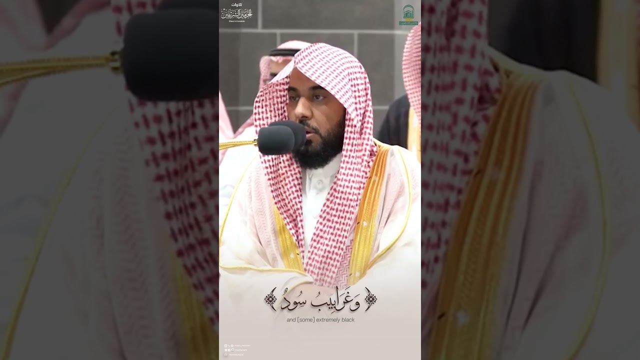 مقتطف من تلاوة فضيلة الشيخ أ.د. #عبدالله_الجهني من صلاة الفجر 15 ذو القعدة 1445هـ.