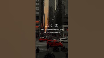 أكتب شيء تؤجر عليه 😴🤍 #اسلام_صبحي #تلاوة_هادئة #اكسبلور #تلاوة_خاشعة #خشوع #راحة_نفسية