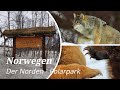 Norwegen, Norway - Der Norden - #3 - Polarpark: nördlichster Tierpark der Welt. Luchs, Elch, Wolf...