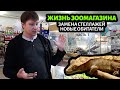 Жизнь зоомагазина Ква-ква: наши новые обитатели и планы на будущее