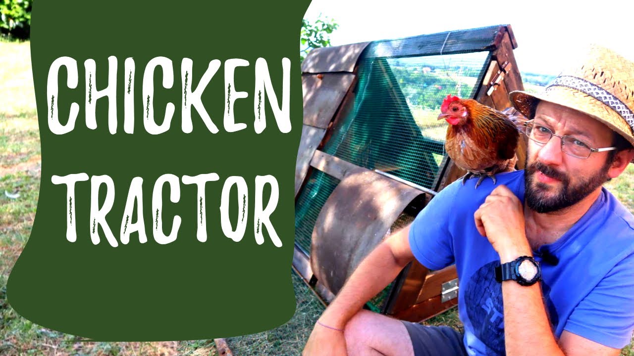 POLLAIO MOBILE: costruiamo il CHICKEN TRACTOR
