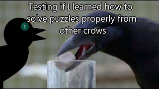 Pushing blocks in a puzzle game.