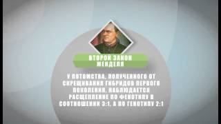 Интересные факты по школьным предметам. Биология. Факт 7-й Интересные факты по школьным предметам. Биология. Факт 7-й
