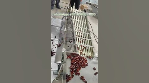 Dates Sorting Grading Machine#processingequipment