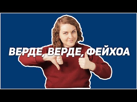 Vinho Verde - лучшее вино из комментариев. Руденко и фейхоа. Паштет из тунца.