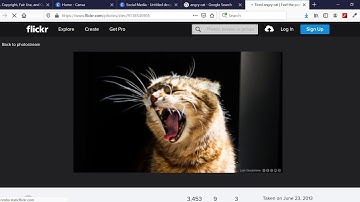 Creating Memes with Canva