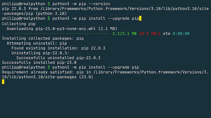 Installing Packages With pip: Python Basics