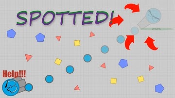 DIEP.IO // I MET THE DEVELOPER!?!?