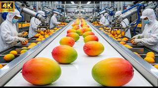 Inside the World’s Largest Dried Mango Factory – Full Export Processing Tour