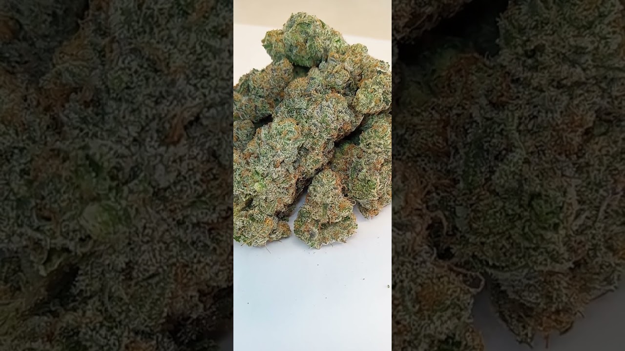 Animal Cookie's Cannabis strain review