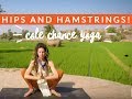 Yoga for the hips and hamstrings  cole chance yoga