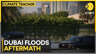 Dubai floods: Massive clean-up underway in Dubai | UAE cleans up post flood havoc | WION