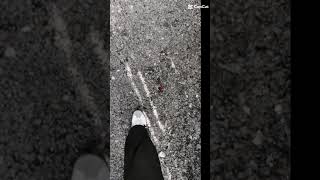 real #foryou #sternzeichen #stier #fypシ