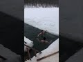 Купание в проруби  / Ice hole swimming #fitness #здоровье #зима #gym #crazy