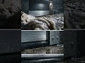 Hochwasserschutz Tür im Härtetest 💧 So schützt du dein Zuhause zuverlässig