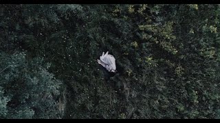 Tess Roby - Ideas Of Space Official Video