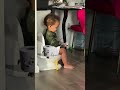 Potty Training Toddler Milestone