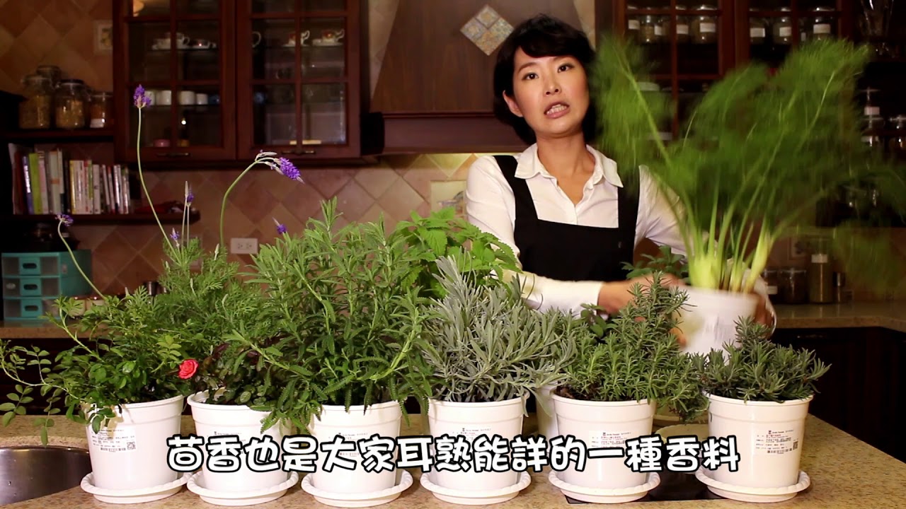 森林有塊田 2018年招桃花香草 Youtube