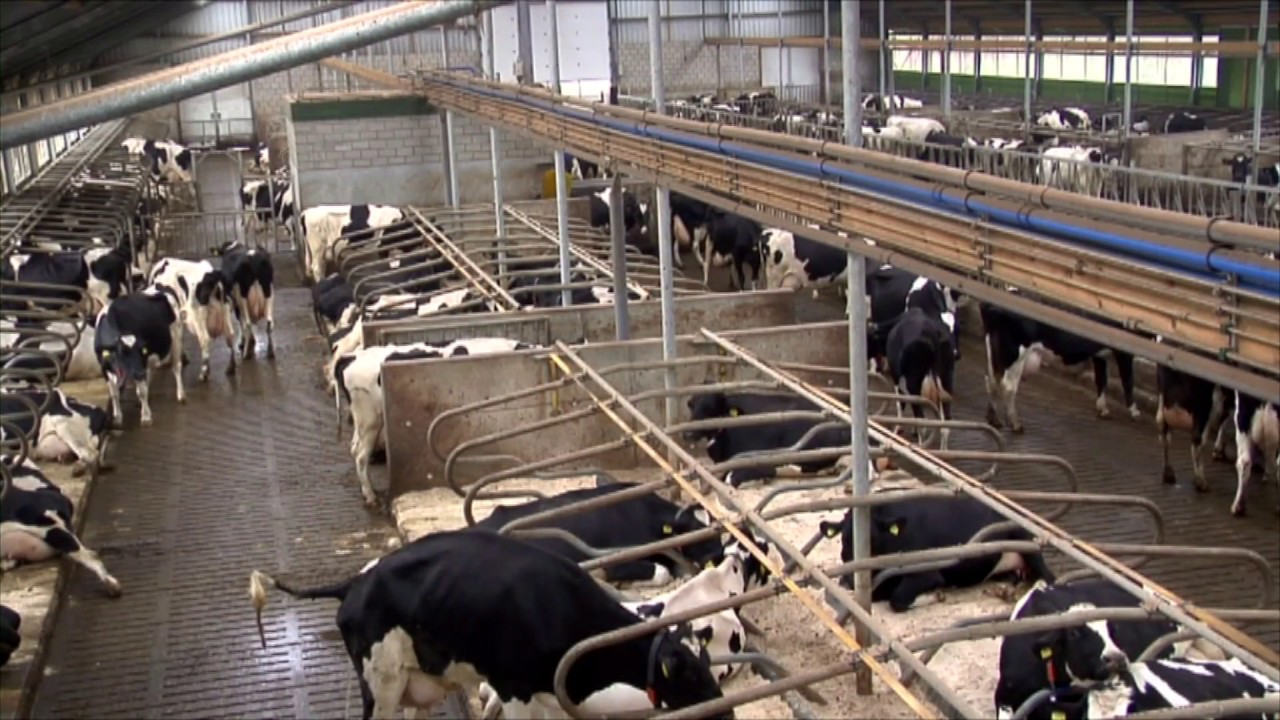 Trioliet Agricultural Products Available At Wilsons Of Rathkenny Ballymena Northern Ireland