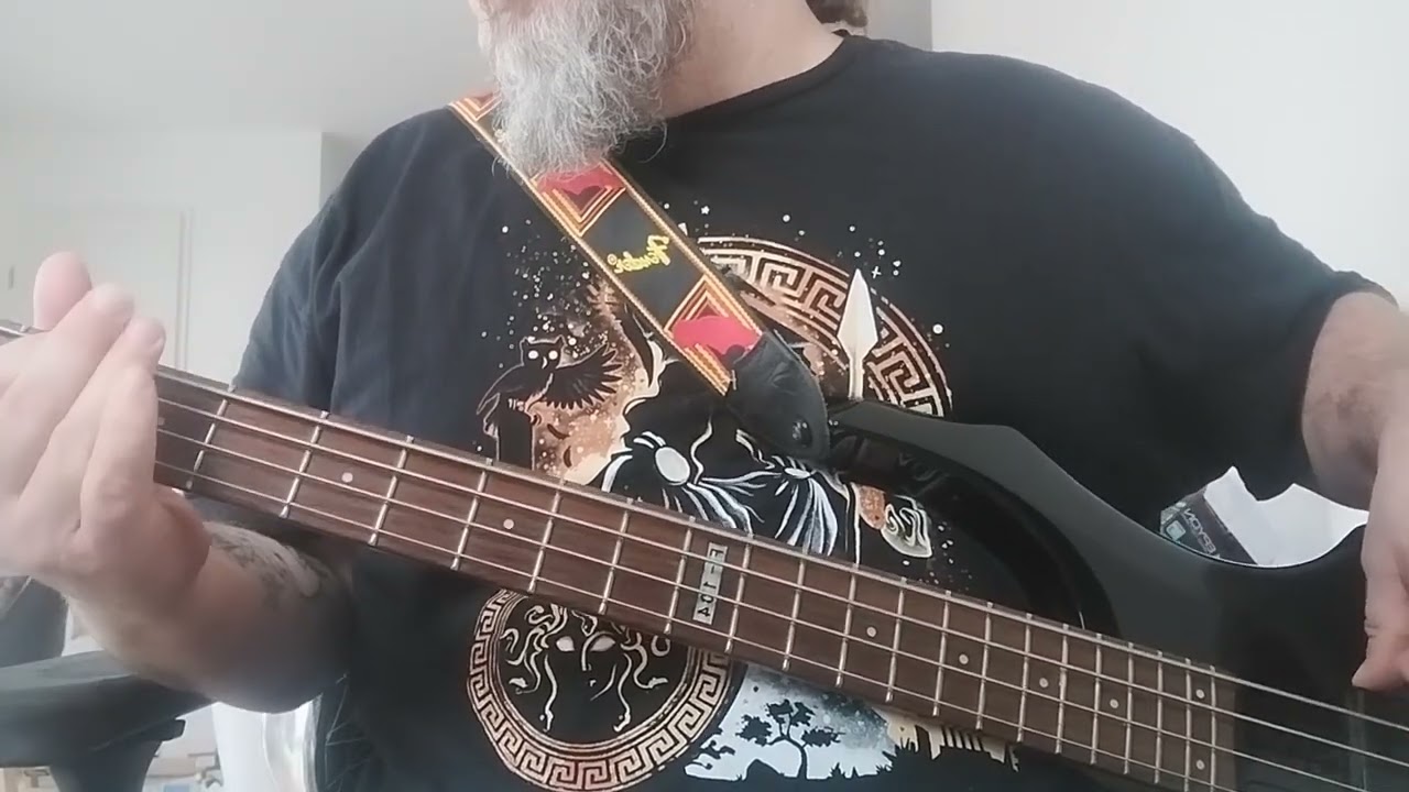 It's my Life - Bon Jovi cover bass 