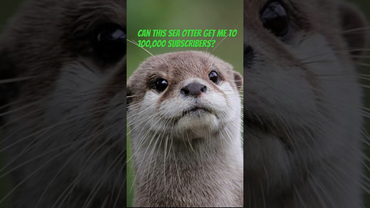 I'm not sure that's totally up to you 