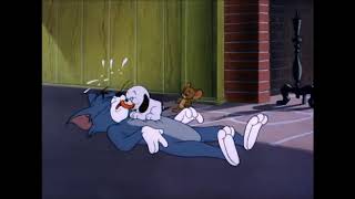 Tom And Jerry, 80 Episode Puppy Tale 1954