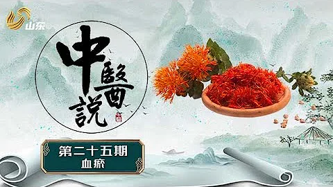 中醫講座 | 第二十五集 血瘀 TCM Talk Ep.25 Blood stasis - 天天要聞