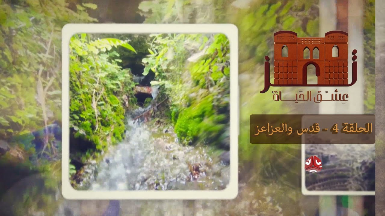 تعز عشق الحياة | الثقافة والتاريخ والجمال | الحلقة 4 - قدس والعزاعز