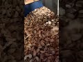 Cashews Sorting Machine| This AI-Powered Color Sorter Instantly Rejects Moldy/Broken Cashews & Nuts!
